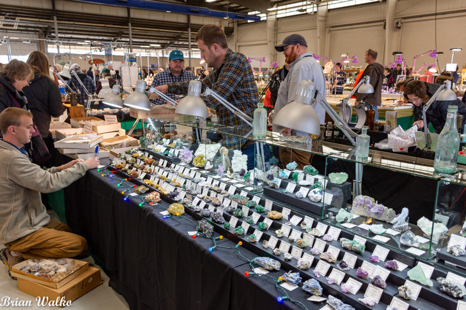 Gem and mineral show 2023